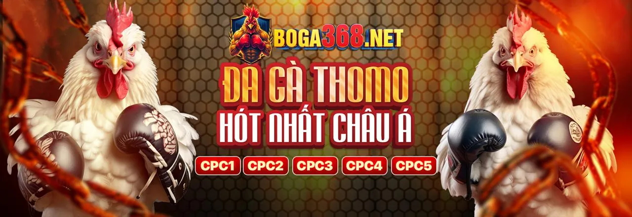 Hình ảnh chính về hợp tác với cado888 chính thức