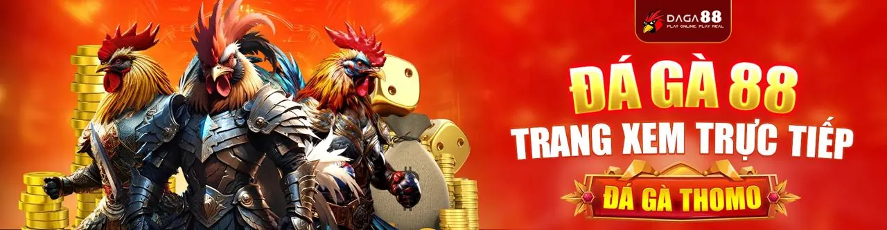 Cado888 Chính Thức 2026: Cập Nhật Nóng Hổi, Ưu Đãi Độc Quyền & Trải Nghiệm Giải Trí Đỉnh Cao