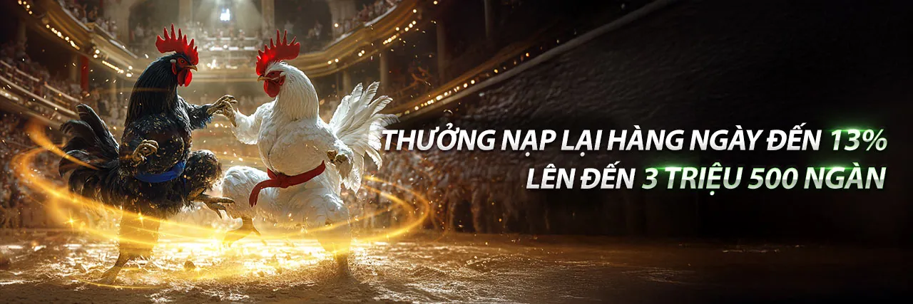 Ứng dụng cado888 chính thức trên điện thoại